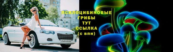 сатива Алексин